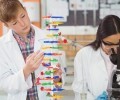 Práticas Didáticas para o Aprendizado em Biologia