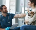 Mba em Gestão de Marketing em Pet Shops e Clínicas Veterinárias