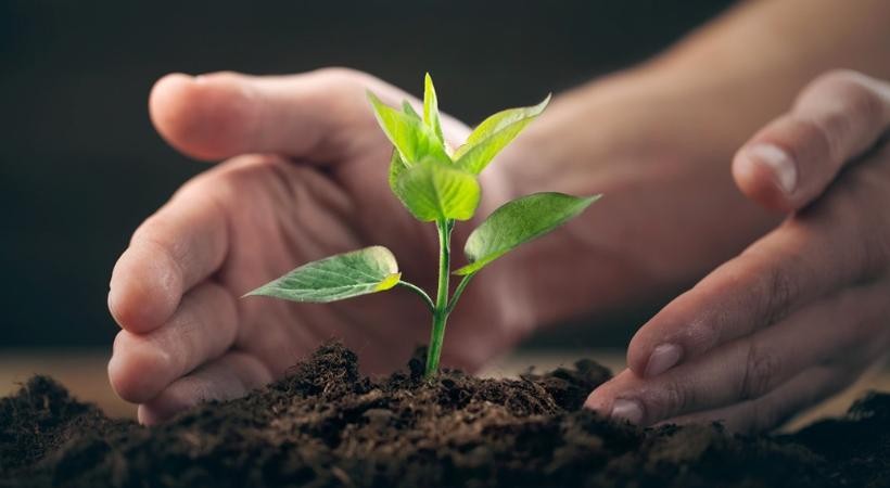 Direito e Legislação Ambiental