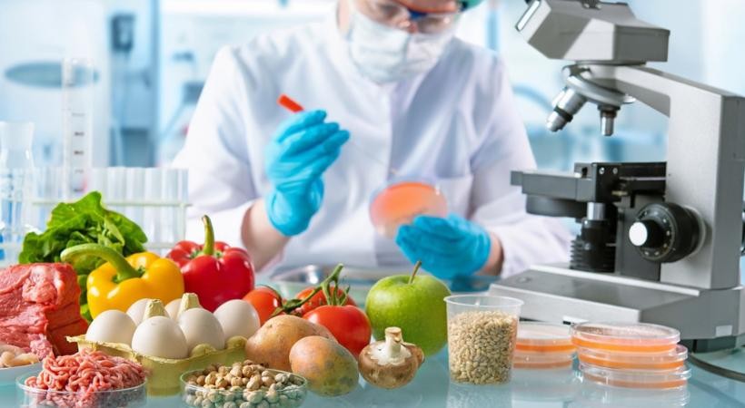 Vigilância Sanitária e Manipulação de Alimentos in Natura