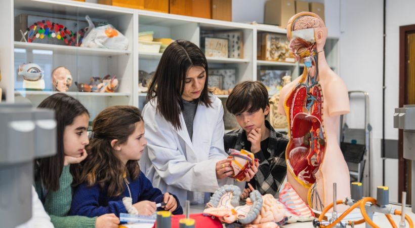 Noções de fisiologia do desenvolvimento e interferências mais frequentes na aprendizagem