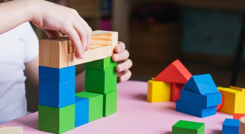 Bases psicobiológicas do desenvolvimento humano