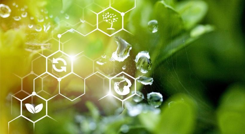 Vigilância Sanitária e Meio Ambiente